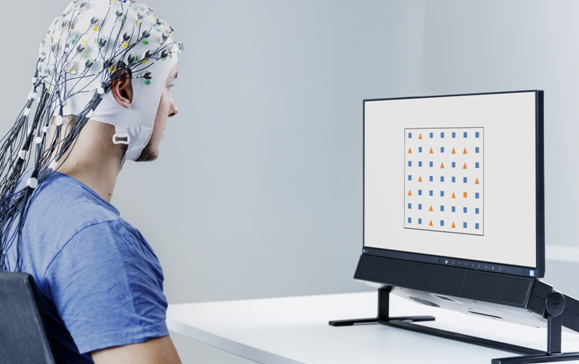 Tobii Pro Spectrum Eye Tracker Synced with EEG